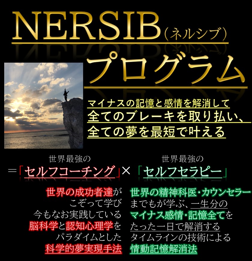 Nersibプログラム 初級編 マインドシステム